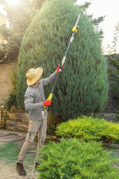 Best Lawn Pest Prevention  in Quincy, MI